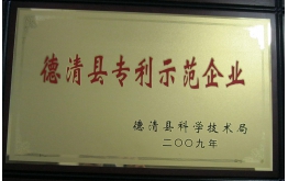 2009年德清縣專利示范企業(yè)